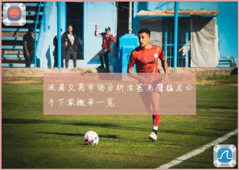 浓眉交易市场分析活塞老鹰猛龙公牛下家概率一览