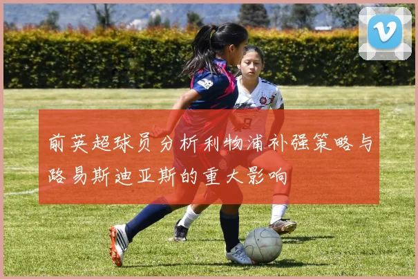 前英超球员分析利物浦补强策略与路易斯迪亚斯的重大影响