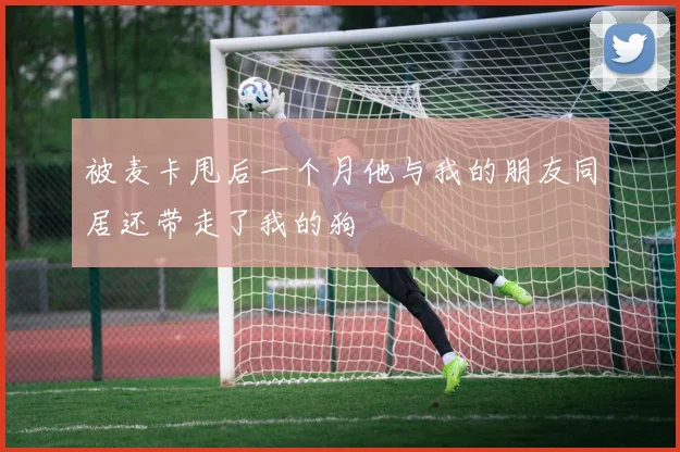 被麦卡甩后一个月他与我的朋友同居还带走了我的狗