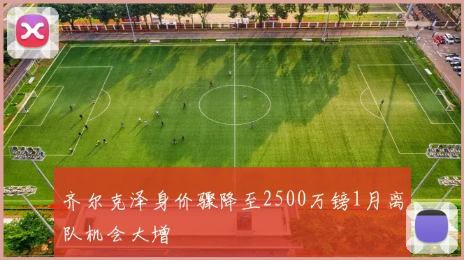 齐尔克泽身价骤降至2500万镑1月离队机会大增