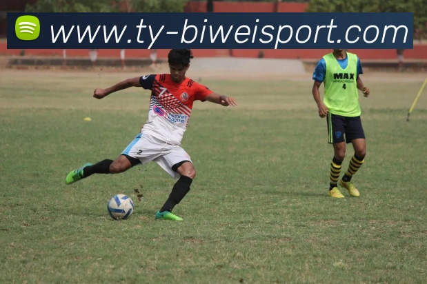 必威足球平台生态图